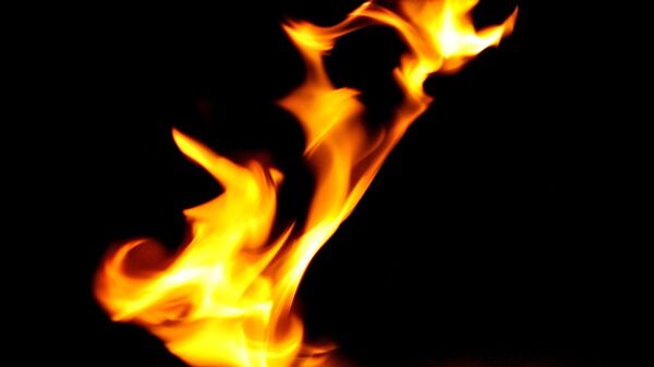 Женщина с двумя маленькими детьми погибла на пожаре в Пинском районе